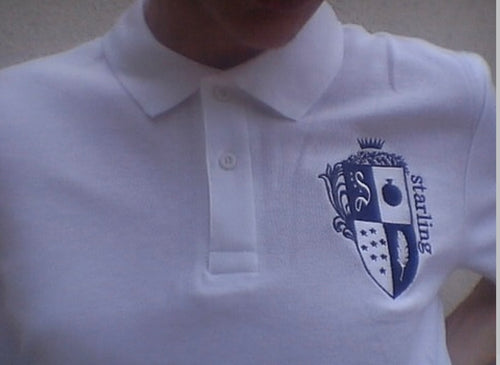 embroidered polo